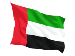 United Arab Emirates Virtual Phone Number